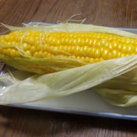 雨で気温が下がりました