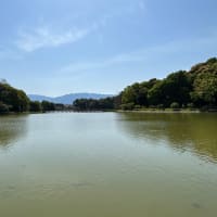 藤原宮跡