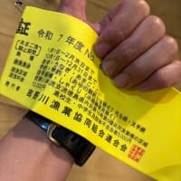約1年ぶりです。
