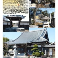 花巡り「梅－374」 久喜　常楽寺