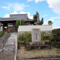 観音寺～妙蓮寺・・・近所ではない　　京都府久世群久御山町　　　2024.9.10 訪問