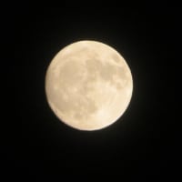 月