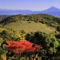 富士山　二度目の散策... 風速 9m/s 前後の荒れ舞台は...  "(-""-)"　参ったーです。
