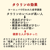 タウリン　アンチエイジング