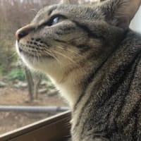 なかなかやるね〜！