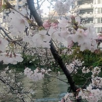 三碧木星の来月の吉方
