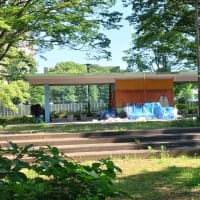 公園の花壇