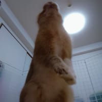 今日の流行り