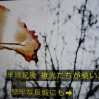 空旅中国「明の長城」より