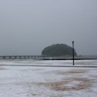 伊吹おろしの三河湾