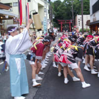 弥彦燈籠祭り