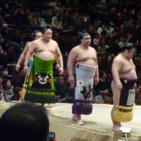 大相撲トーナメントを観てきました