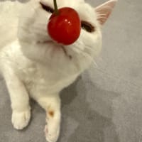 今年も大好物いただきました。