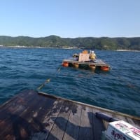 和歌山チヌ釣り遠征は～