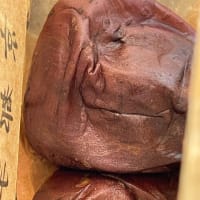大京都展さくら野八戸店