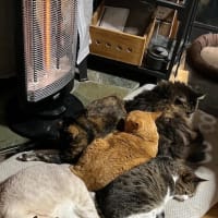 今日はツーリングと、先日の本のタイトルで自分で気になったものの話と