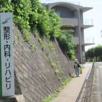 6/3　『セビリアの理髪師』（新国立劇場）