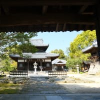 大宰府市の散策記　on　2025-4-9＆4-10　その6 　戒壇院