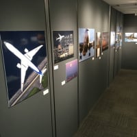 航空写真展 "ParAvion 8" 、6月6日まで会期延長