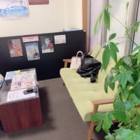 私がよくいく脱毛サロン