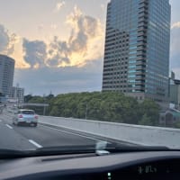 5月です