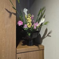 ３月２６日のお稽古☆彡支度中