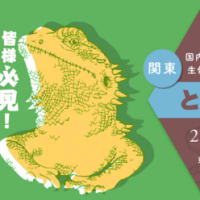 ぶりくら市
