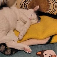 知らんかったぁ～(◎_◎;)