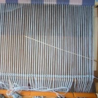 ２枚目の金魚を