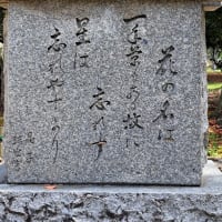 大仙公園の桜〈2024年4月5日スマホ撮影〉