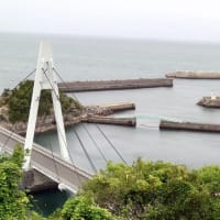琵琶湖水系＆和歌山の海で釣り場探し
