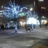 銀世界のToukyo　North　Sideから