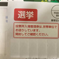 投票したいと思える人がいない