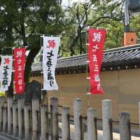 西宮神社は七五三とお宮参りで大賑わい　１０月２２日