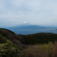葉桜の伊豆ツーリング（その1：達磨山の富士山と曇天の堂ヶ島）