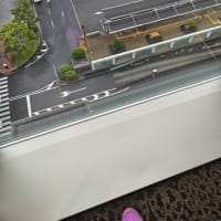 ｢霜柱と蝋梅の森｣奈良編。寝汗で目が覚めた奈良の朝
