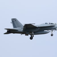 2025年4月18日 厚木基地 R/W19 “日米親善桜まつりフライ・イン抜粋版”