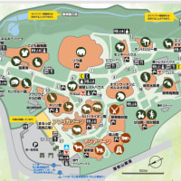 散策！札幌（７１）円山動物園に行ってアジアゾウの仔象・タオちゃんを拝見する＜円山動物園・その１＞