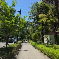 6月も後1週間