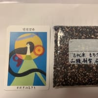 いくつになってもお年玉はうれしいな