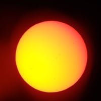 青い花「ネモフィラ」が見頃です★