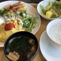 沖縄の鳥