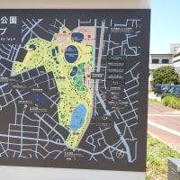 千葉公園は変わった！　千葉駅に近く、図書館にも隣接。体育館も競輪場も