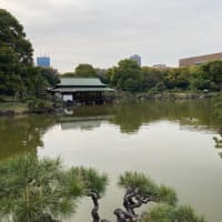 お花見🌸クルーズ