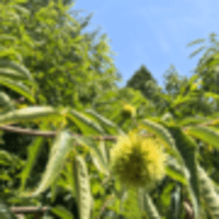お盆休み前に