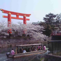 日本100名城＆番外　京都の春　2006-4-5～9