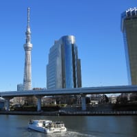 お正月を待つ浅草