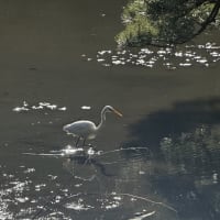 そっとしてあげたらいいのにな。