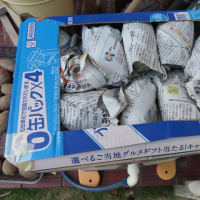 春じゃがグランドペチカを保管します(^^)