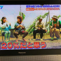 旧石器時代から☝︎の　想いすごし❓『佐々木さんもこっち向かえよ』